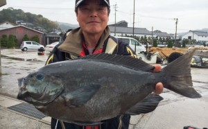 まだまだクロも石鯛も絶好釣！