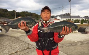 釣り納め、寒グロ釣果（12月31日）