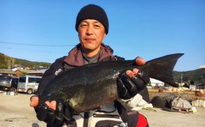 型も数も好釣！寒グロ釣果（1月28日）