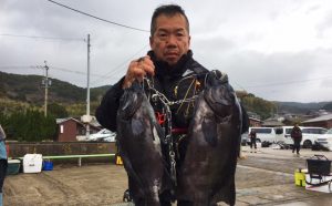 良型続出！寒グロと石鯛（1月29日）