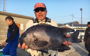 新年イシダイ釣果（1月3日）