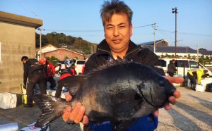 新年イシダイ釣果（1月3日）