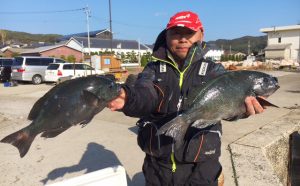 寒グロ爆釣継続中！（2月19日）