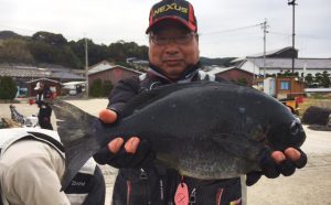 腹パンパン！寒グロ釣果（3月5日）