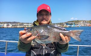 平日のクロ釣果（3月9日）