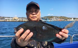 平日のクロ釣果（3月9日）