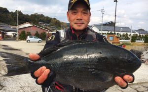 腹パンのっこみクロ釣果（3月26日）