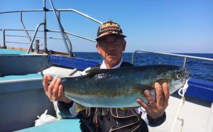 巨大ヒラメ・底物釣果（4月23日）