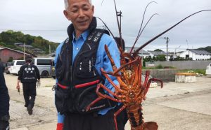 ゴールデンウィーク底物釣果（5月5日）