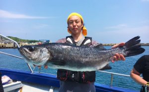 良型ヒラスズキとクロの釣果（5月13日）