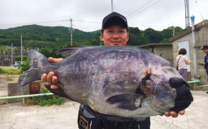 巨大イシダイ釣果！（6月10日）