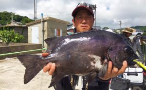 夏磯全開！底物好釣！（7月16日）