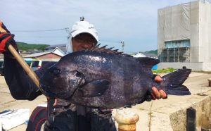 まだまだ熱い！底物釣果（9月10日）