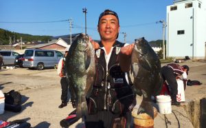 秋磯開幕！クロ釣果（10月8日）