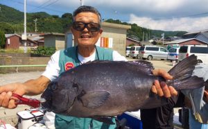 秋磯、底物釣果（10月9日）