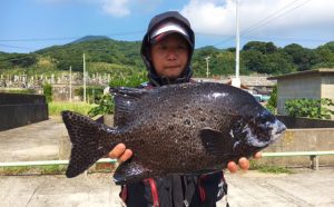 秋磯、底物釣果（10月9日）