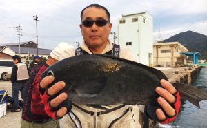 上物、底物釣果（11月3日）