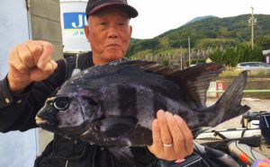 上物、底物釣果（11月3日）