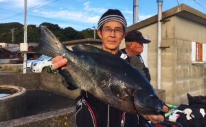 秋磯全開！良型クロと石鯛釣果（11月12日）