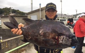 上物と底物釣果（11月26日）