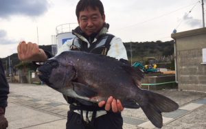 冬の石鯛釣果（1月31日）