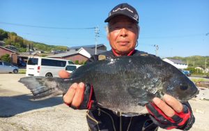 良型クロ釣果（5月4日）