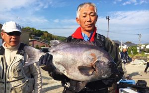 イシダイ好釣果です。（5月5日）