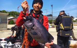 イシダイ好釣果（5月11日）