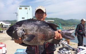 60センチ超！イシダイ釣果（6月9日）