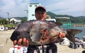 60センチ超！イシダイ釣果（6月9日）