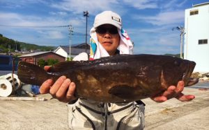 底物（イシダイ・アラ）釣果（6月17日）