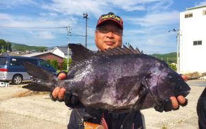 底物（イシダイ・アラ）釣果（6月17日）