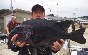 秋磯開幕！クロ釣りシーズン突入！