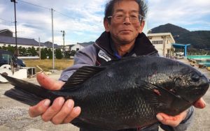 青物・上物・底物釣果（11月3日）