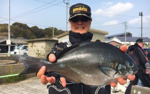 春の尾長、良型出現中