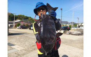 イシダイ釣果