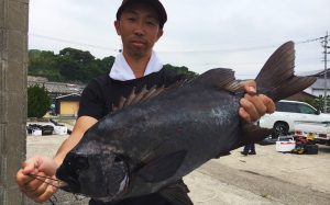 石鯛よく釣れています！