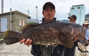 石鯛よく釣れています！