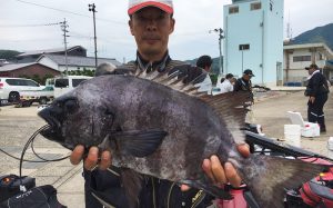 石鯛よく釣れています！