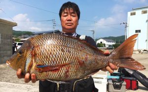 七夕の日の釣果