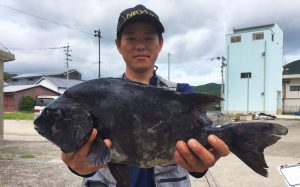 伊勢海老と石鯛