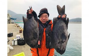 冬磯、底物釣果