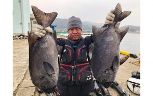 冬磯、底物釣果