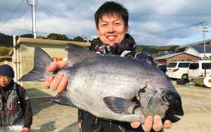 冬磯、イシダイ好釣果