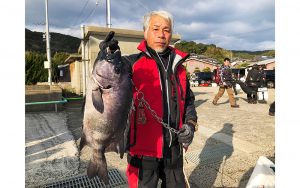 冬磯、イシダイ好釣果