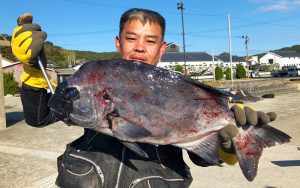 イシダイ好釣果