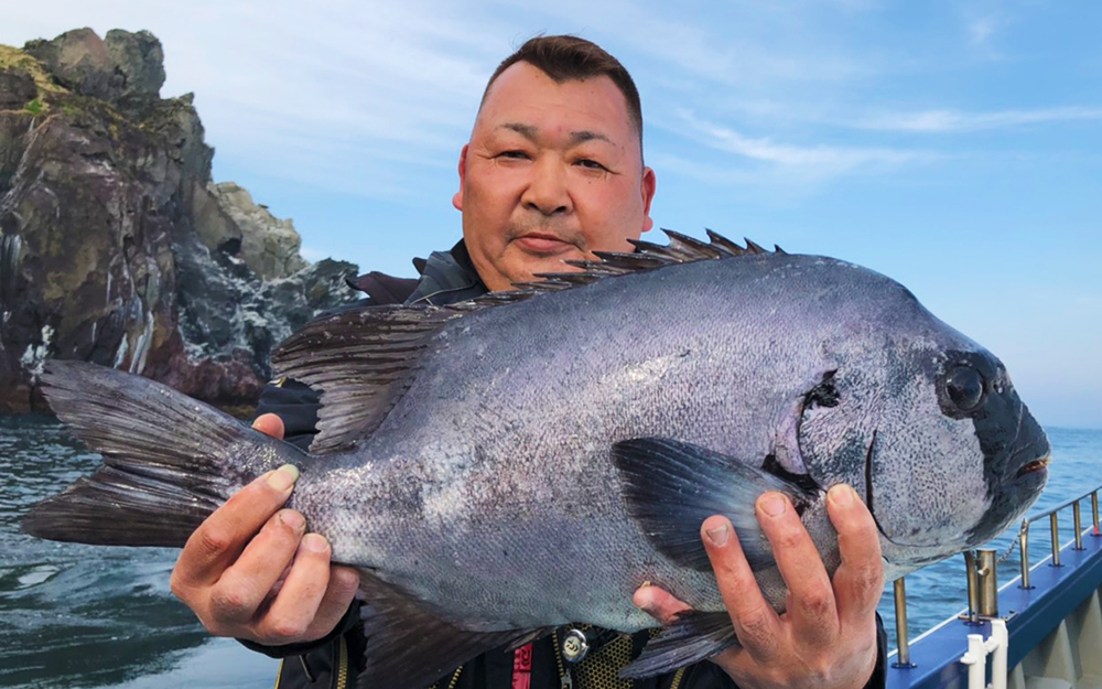 イシダイ良型釣果