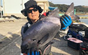 クロ釣りシーズン終盤、春磯釣果