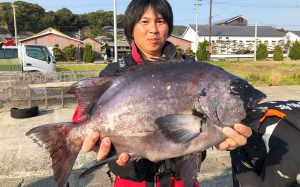 底物イシダイ釣果