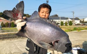 底物イシダイ釣果